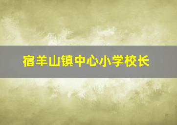 宿羊山镇中心小学校长