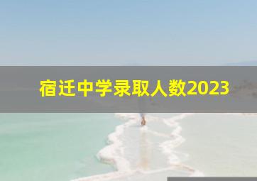 宿迁中学录取人数2023