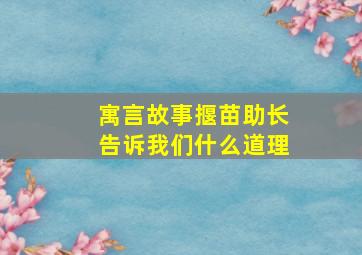 寓言故事揠苗助长告诉我们什么道理