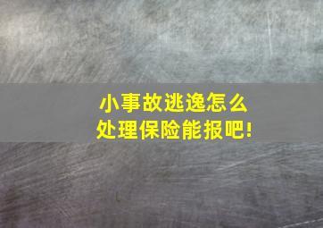 小事故逃逸怎么处理保险能报吧!