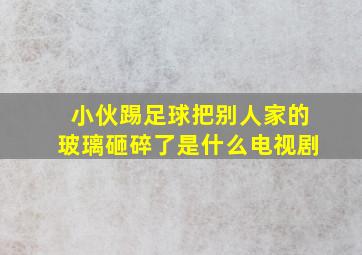 小伙踢足球把别人家的玻璃砸碎了是什么电视剧