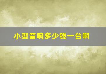 小型音响多少钱一台啊