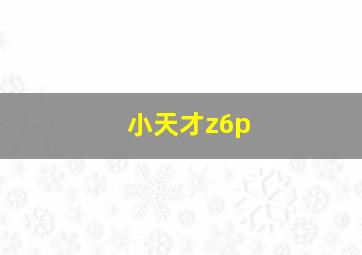 小天才z6p