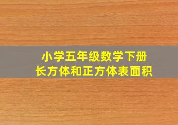 小学五年级数学下册长方体和正方体表面积