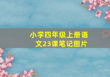 小学四年级上册语文23课笔记图片