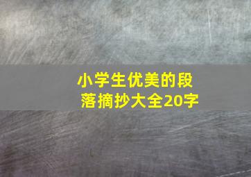 小学生优美的段落摘抄大全20字