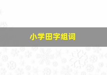 小学田字组词