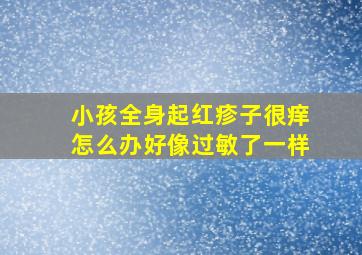 小孩全身起红疹子很痒怎么办好像过敏了一样