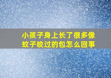 小孩子身上长了很多像蚊子咬过的包怎么回事