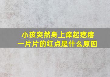 小孩突然身上痒起疙瘩一片片的红点是什么原因