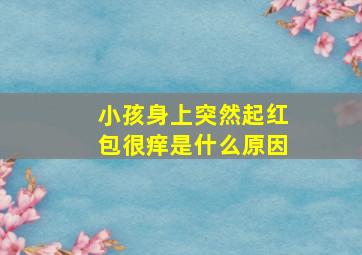 小孩身上突然起红包很痒是什么原因