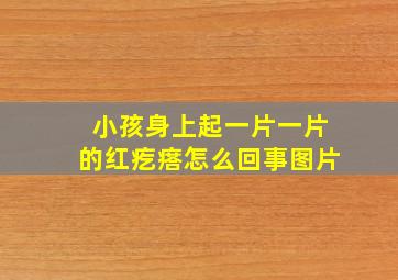 小孩身上起一片一片的红疙瘩怎么回事图片