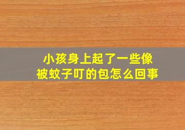 小孩身上起了一些像被蚊子叮的包怎么回事