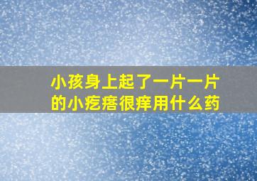 小孩身上起了一片一片的小疙瘩很痒用什么药