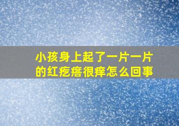 小孩身上起了一片一片的红疙瘩很痒怎么回事