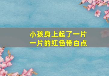 小孩身上起了一片一片的红色带白点