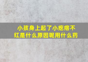 小孩身上起了小疙瘩不红是什么原因呢用什么药