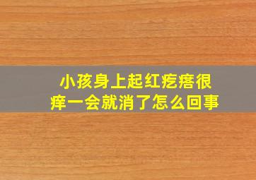 小孩身上起红疙瘩很痒一会就消了怎么回事