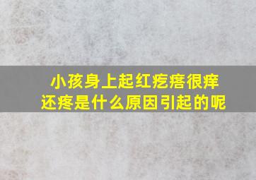 小孩身上起红疙瘩很痒还疼是什么原因引起的呢