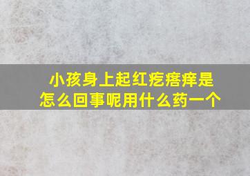 小孩身上起红疙瘩痒是怎么回事呢用什么药一个