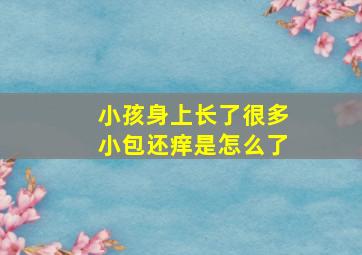 小孩身上长了很多小包还痒是怎么了