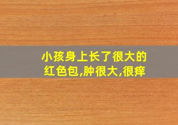 小孩身上长了很大的红色包,肿很大,很痒