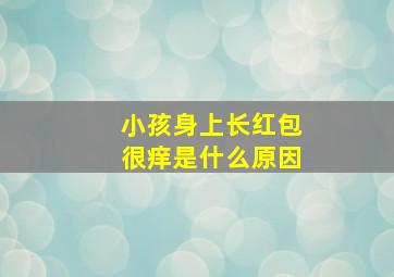 小孩身上长红包很痒是什么原因