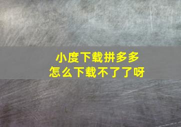 小度下载拼多多怎么下载不了了呀