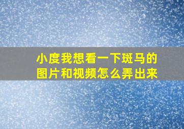 小度我想看一下斑马的图片和视频怎么弄出来