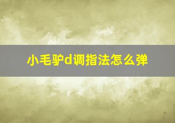 小毛驴d调指法怎么弹