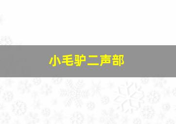 小毛驴二声部