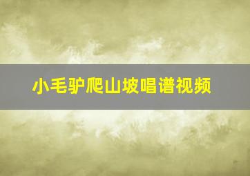 小毛驴爬山坡唱谱视频