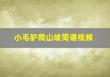 小毛驴爬山坡简谱视频