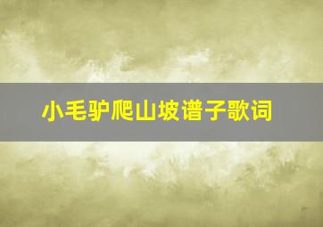 小毛驴爬山坡谱子歌词