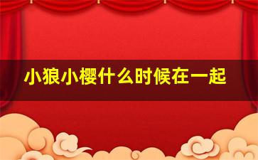 小狼小樱什么时候在一起