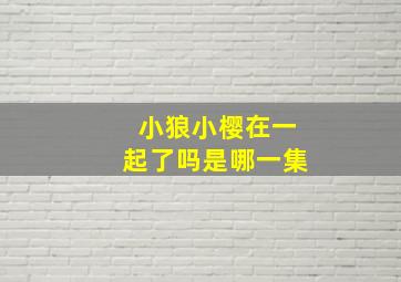 小狼小樱在一起了吗是哪一集