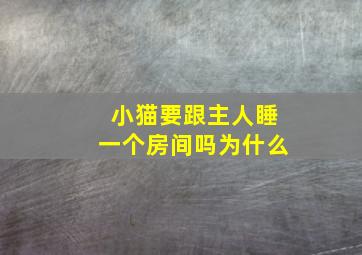 小猫要跟主人睡一个房间吗为什么