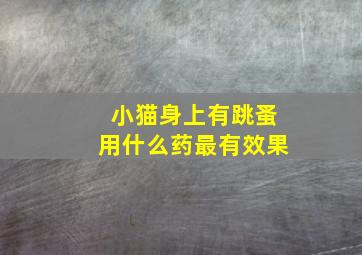 小猫身上有跳蚤用什么药最有效果