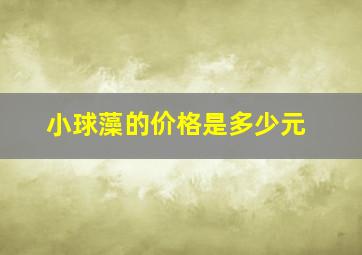 小球藻的价格是多少元