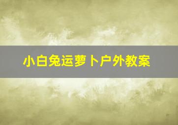 小白兔运萝卜户外教案