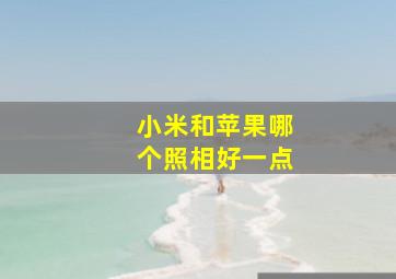 小米和苹果哪个照相好一点