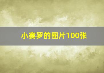 小赛罗的图片100张