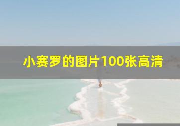 小赛罗的图片100张高清