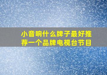 小音响什么牌子最好推荐一个品牌电视台节目