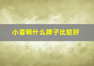 小音响什么牌子比较好