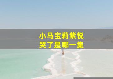 小马宝莉紫悦哭了是哪一集