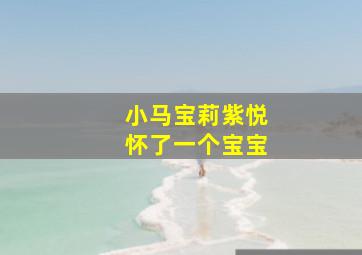 小马宝莉紫悦怀了一个宝宝