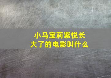 小马宝莉紫悦长大了的电影叫什么