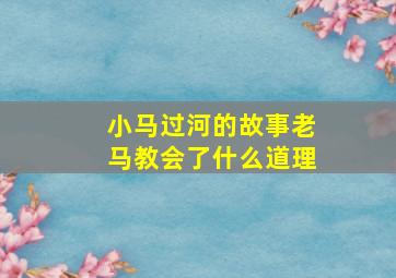 小马过河的故事老马教会了什么道理