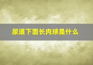 尿道下面长肉球是什么